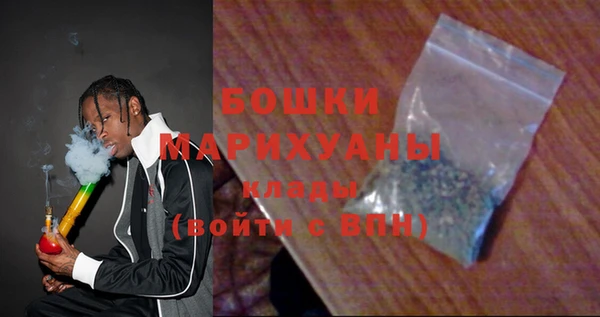 индика Медногорск