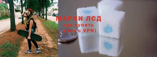 индика Медногорск