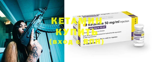 индика Великий Новгород