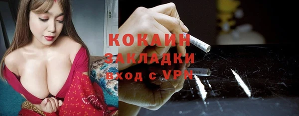 индика Медногорск