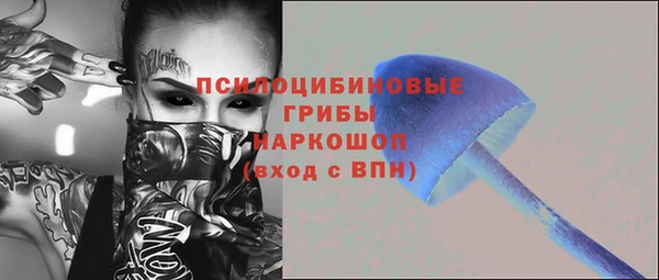 стафф Медвежьегорск