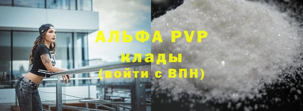 индика Медногорск