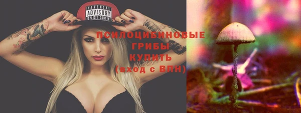 индика Медногорск