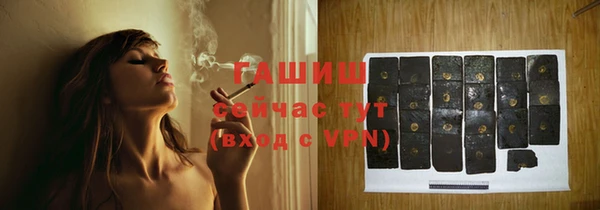 индика Медногорск