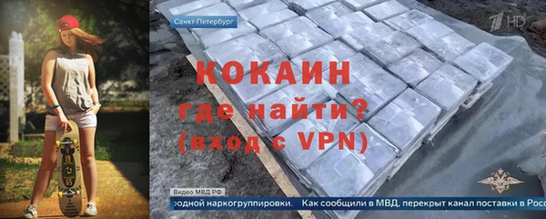 индика Медногорск