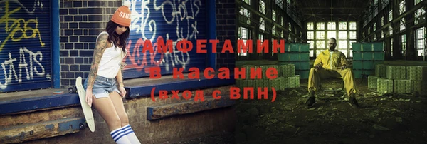 индика Медногорск