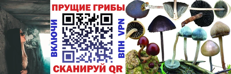 Галлюциногенные грибы ЛСД  Дзержинск 